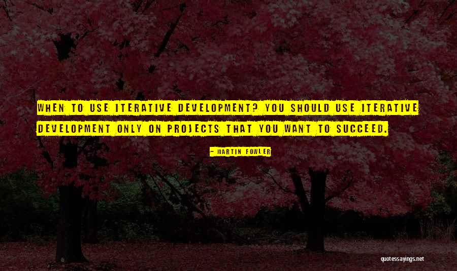 Iterative Development Quotes By Martin Fowler