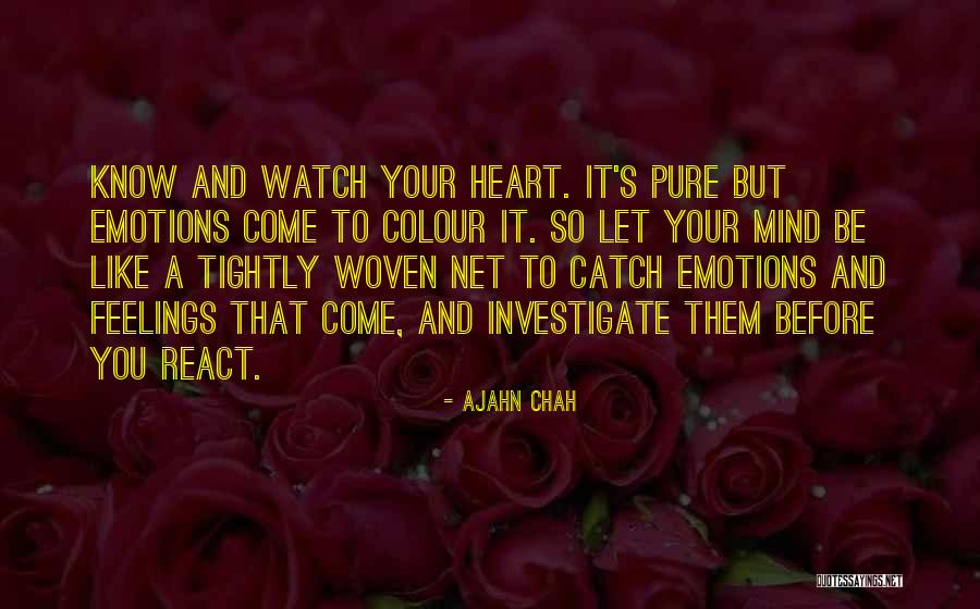 Ithiel De Sola Quotes By Ajahn Chah Ithiel De Sola Quotes By Ajahn Chah