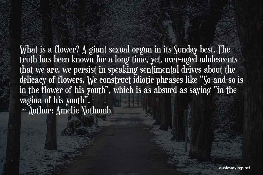 Its A Sunday Quotes By Amelie Nothomb