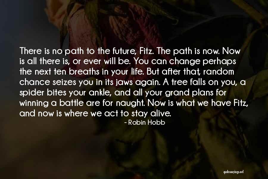 Its A Ten Quotes By Robin Hobb Its A Ten Quotes By Robin Hobb