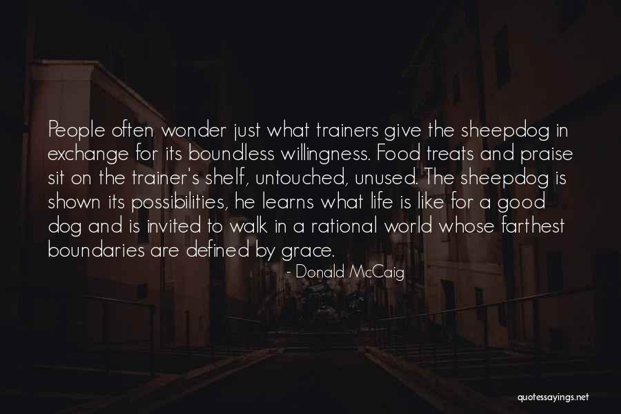 Its A Wonder Life Quotes By Donald McCaig Its A Wonder Life Quotes By Donald McCaig