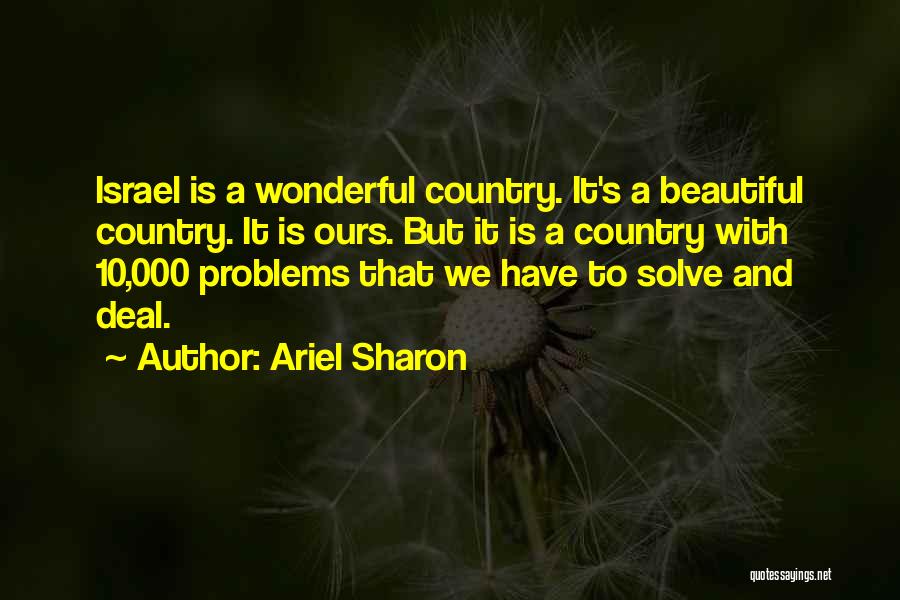 It's A Wonderful Quotes By Ariel Sharon