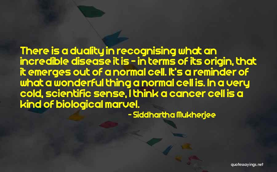 It's A Wonderful Quotes By Siddhartha Mukherjee