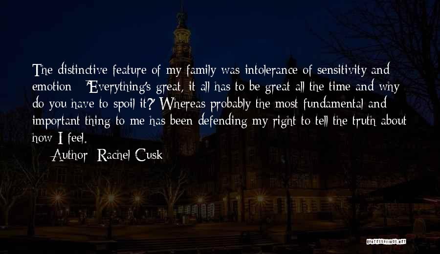 It's All About Family Quotes By Rachel Cusk