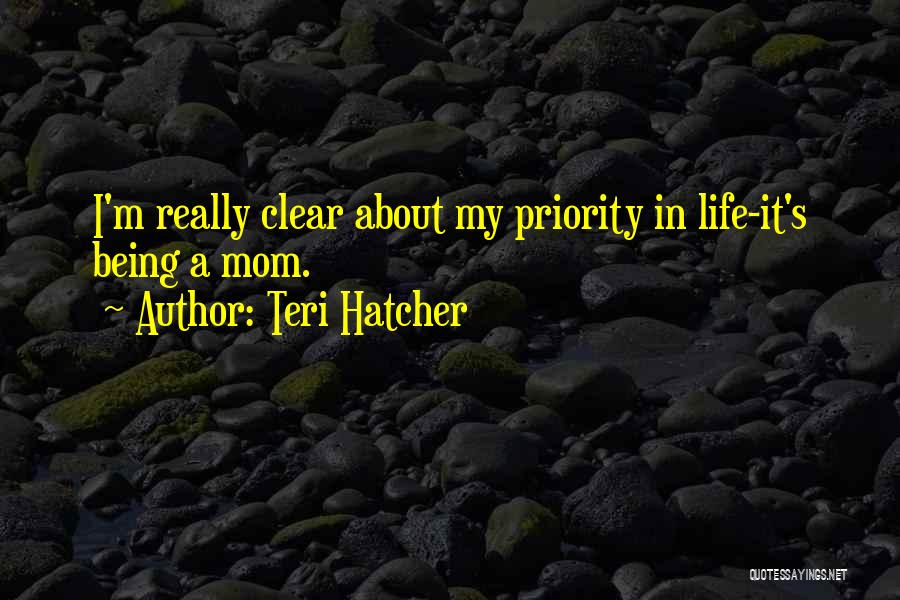 It's All About Priorities Quotes By Teri Hatcher