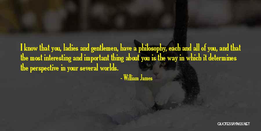 It's All About Your Perspective Quotes By William James It's All About Your Perspective Quotes By William James