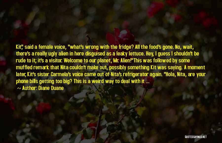 It's All Gone Wrong Quotes By Diane Duane