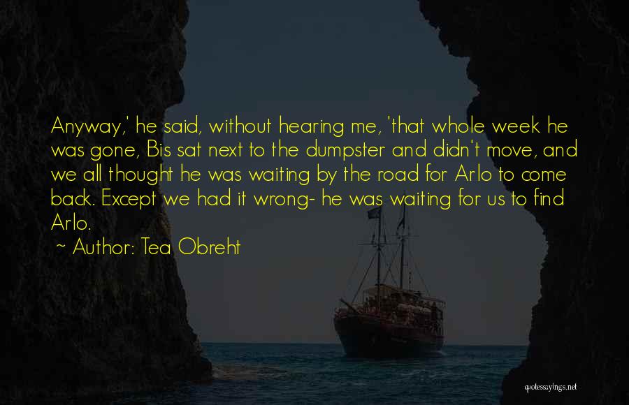 It's All Gone Wrong Quotes By Tea Obreht