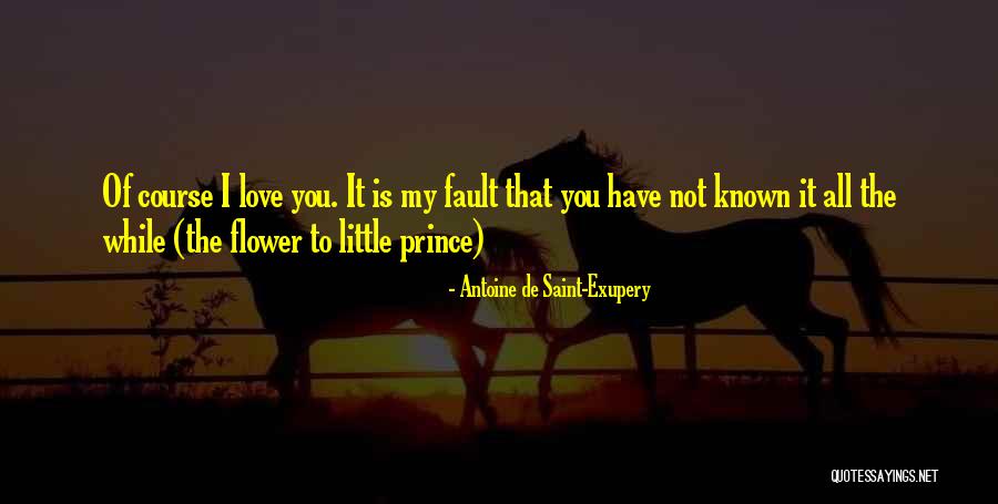 It's All My Fault Love Quotes By Antoine De Saint-Exupery