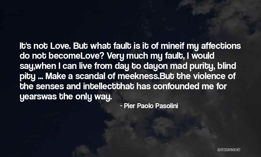 It's All My Fault Love Quotes By Pier Paolo Pasolini