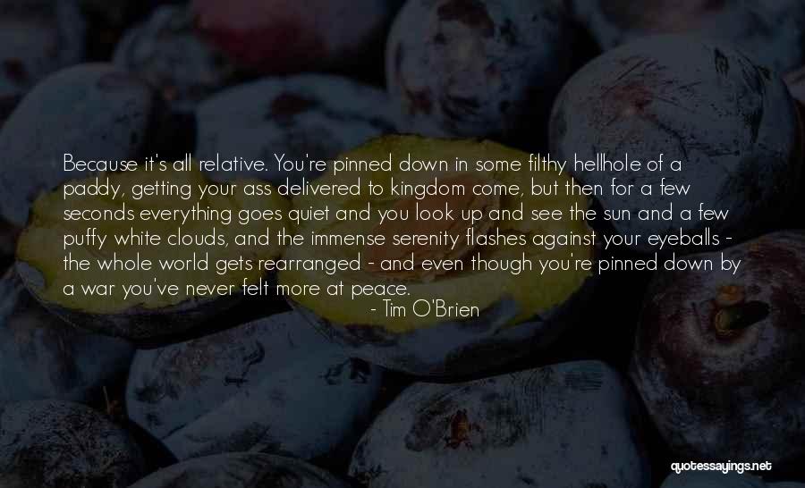 It's All Relative Quotes By Tim O'Brien