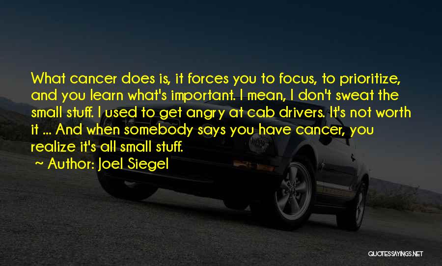 It's All Small Stuff Quotes By Joel Siegel