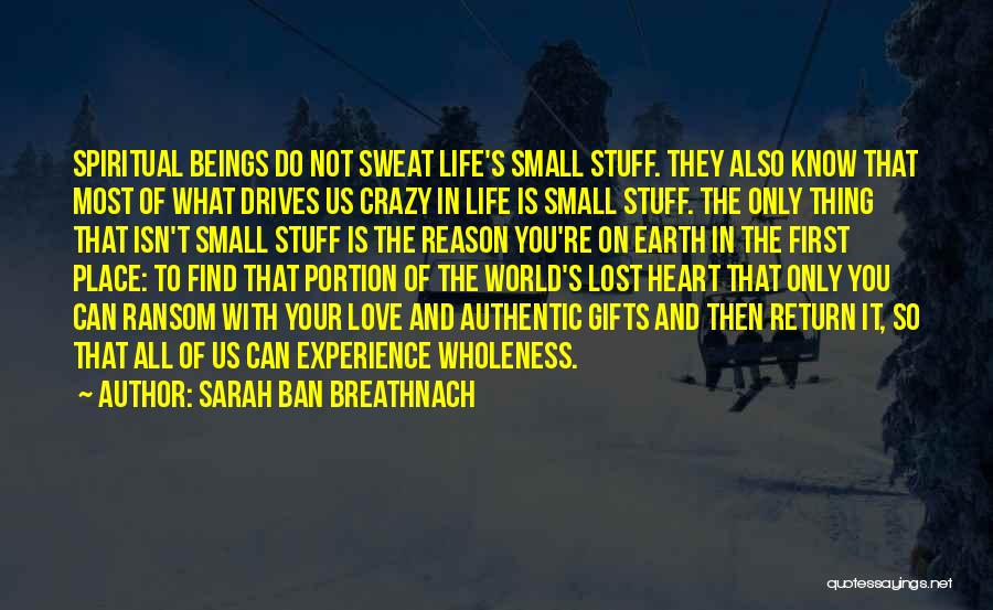 It's All Small Stuff Quotes By Sarah Ban Breathnach