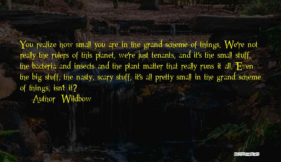 It's All Small Stuff Quotes By Wildbow