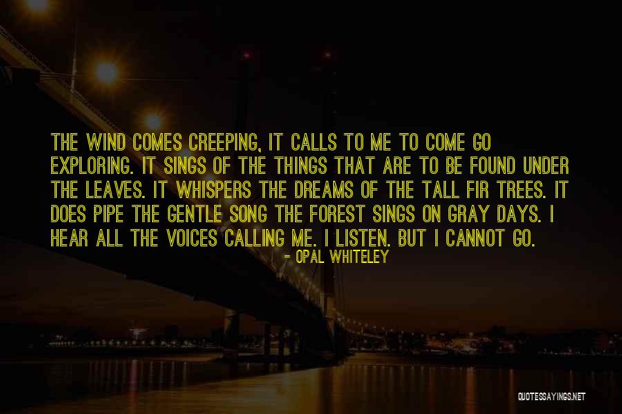 It's Almost My Birthday Picture Quotes By Opal Whiteley It's Almost My Birthday Picture Quotes By Opal Whiteley