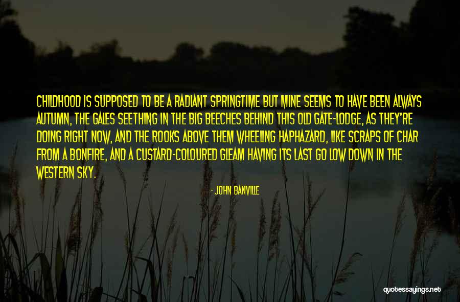Its Always Mine Quotes By John Banville Its Always Mine Quotes By John Banville