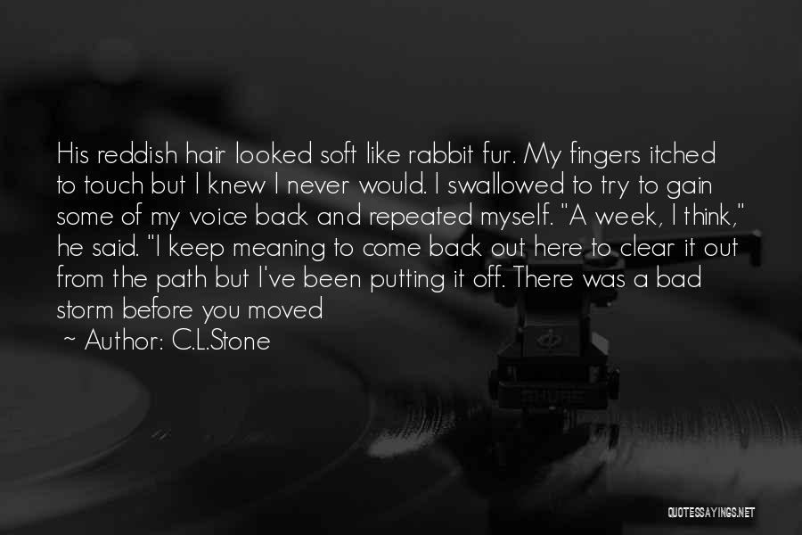 It's Been A Bad Week Quotes By C.L.Stone