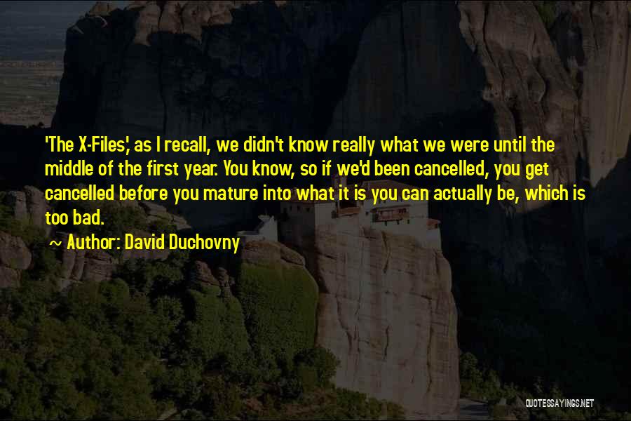 It's Been A Bad Year Quotes By David Duchovny