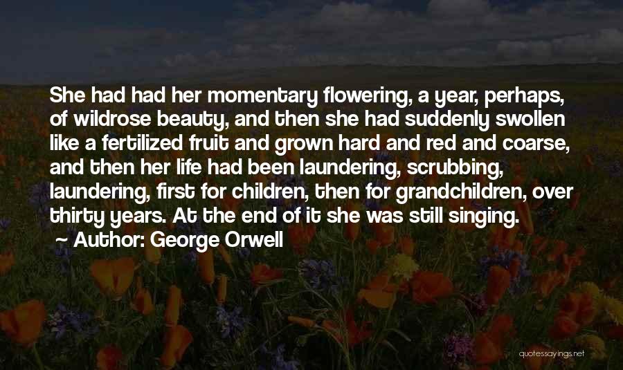 It's Been A Hard Year Quotes By George Orwell