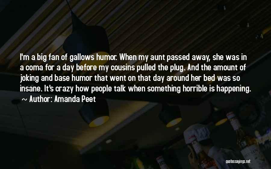 It's Crazy How Quotes By Amanda Peet