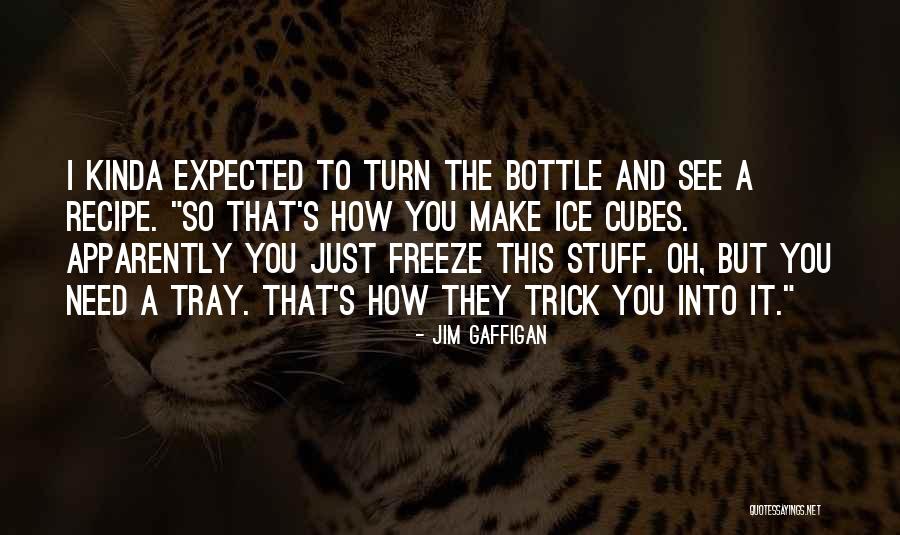 It's Funny How Quotes By Jim Gaffigan It's Funny How Quotes By Jim Gaffigan