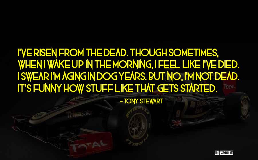 It's Funny How Quotes By Tony Stewart It's Funny How Quotes By Tony Stewart