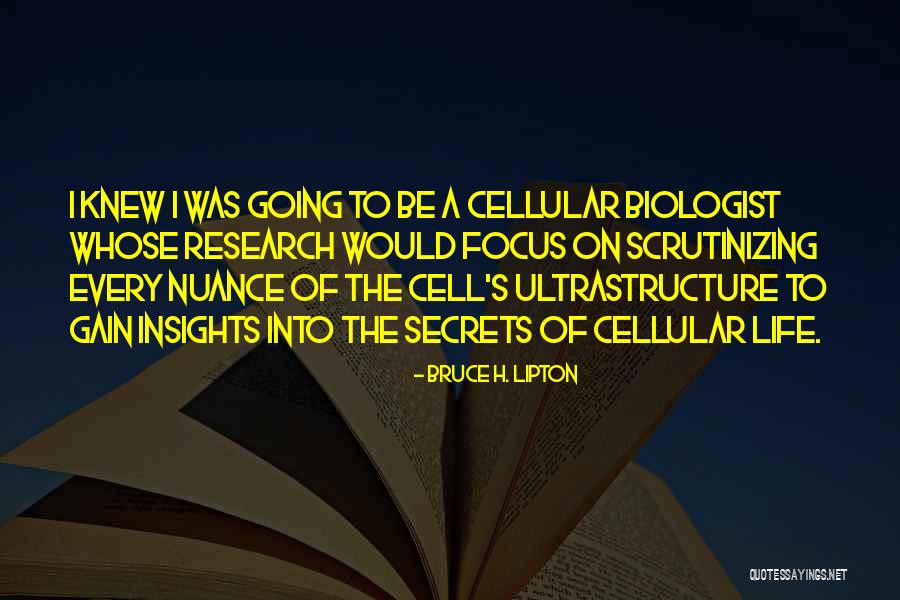Its Funny How Two People Love Quotes By Bruce H. Lipton Its Funny How Two People Love Quotes By Bruce H. Lipton