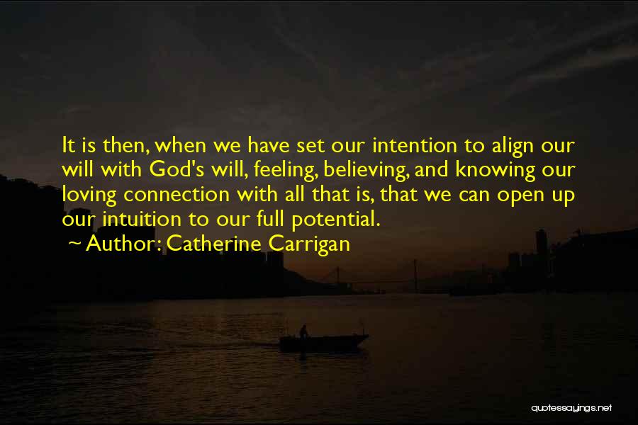 It's God's Will Quotes By Catherine Carrigan