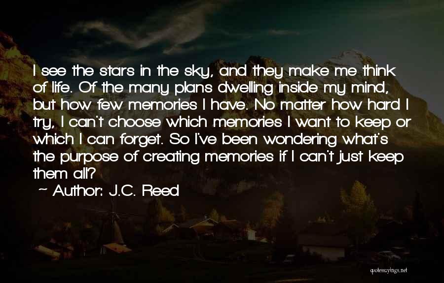 It's Hard To Forget The Past Quotes By J.C. Reed