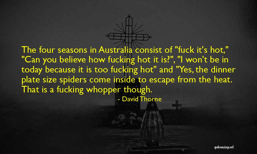 It's Hot Today Quotes By David Thorne