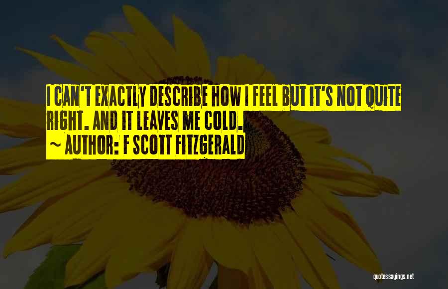 It's How I Feel Quotes By F Scott Fitzgerald