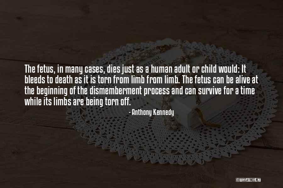 Its Just Beginning Quotes By Anthony Kennedy Its Just Beginning Quotes By Anthony Kennedy