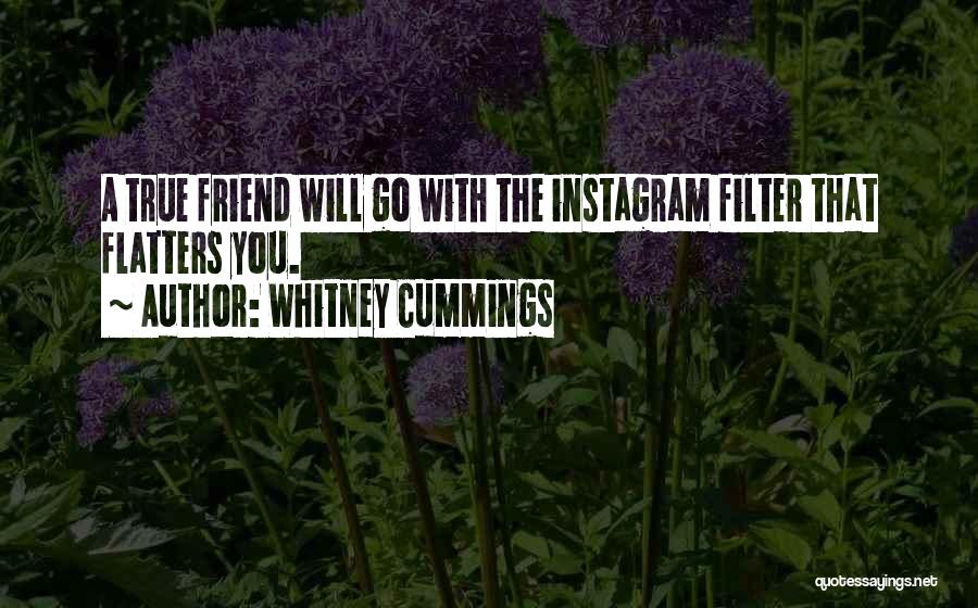 It's Just Instagram Quotes By Whitney Cummings