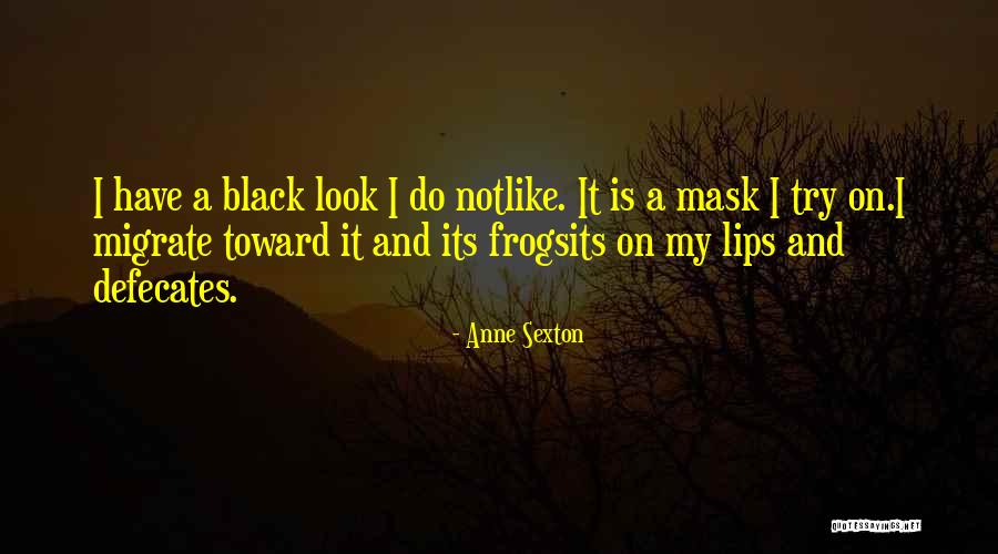 Its Mask Quotes By Anne Sexton Its Mask Quotes By Anne Sexton