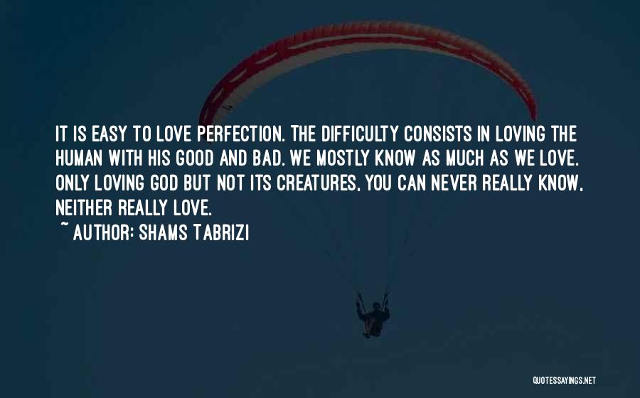 It's Not Easy Loving You Quotes By Shams Tabrizi