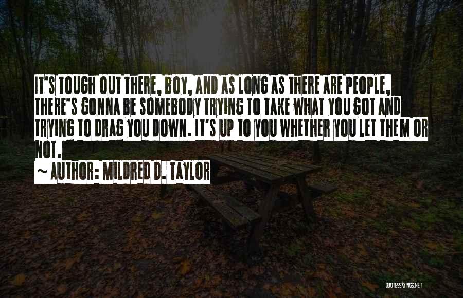 It's Not Gonna Be Ok Quotes By Mildred D. Taylor