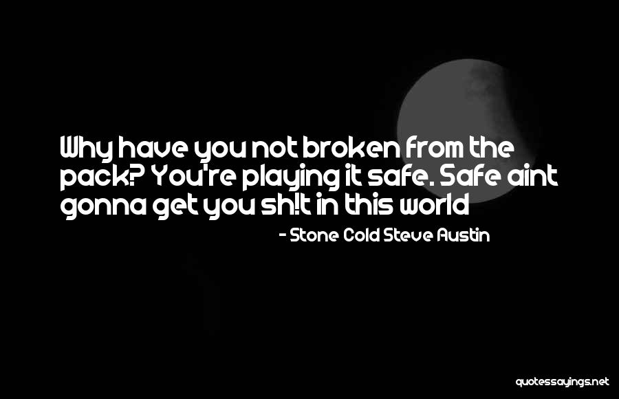 It's Not Gonna Be Ok Quotes By Stone Cold Steve Austin