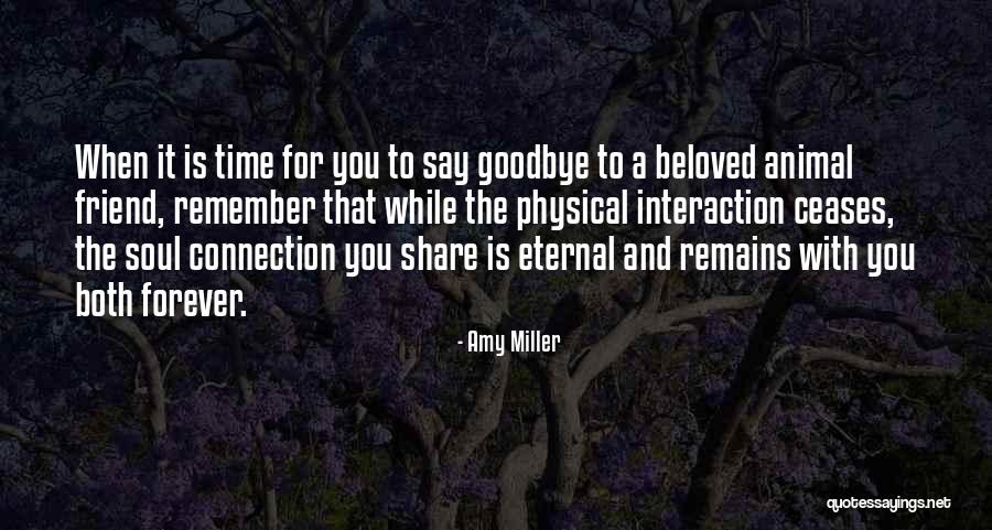 It's Not Goodbye Forever Quotes By Amy Miller