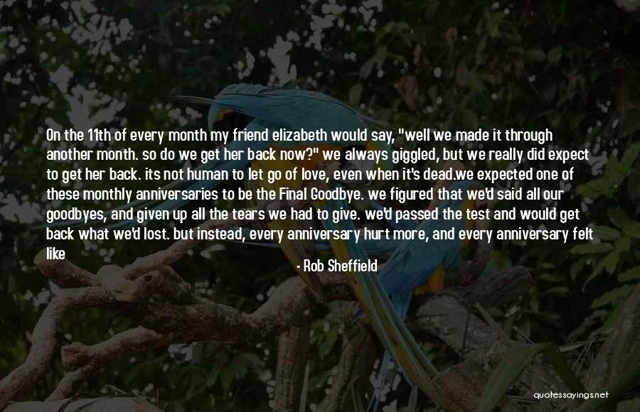 It's Not Goodbye Quotes By Rob Sheffield