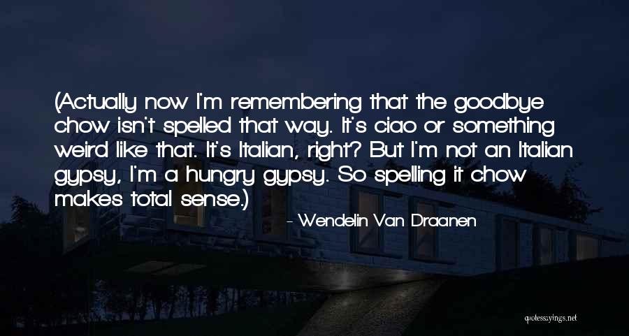 It's Not Goodbye Quotes By Wendelin Van Draanen