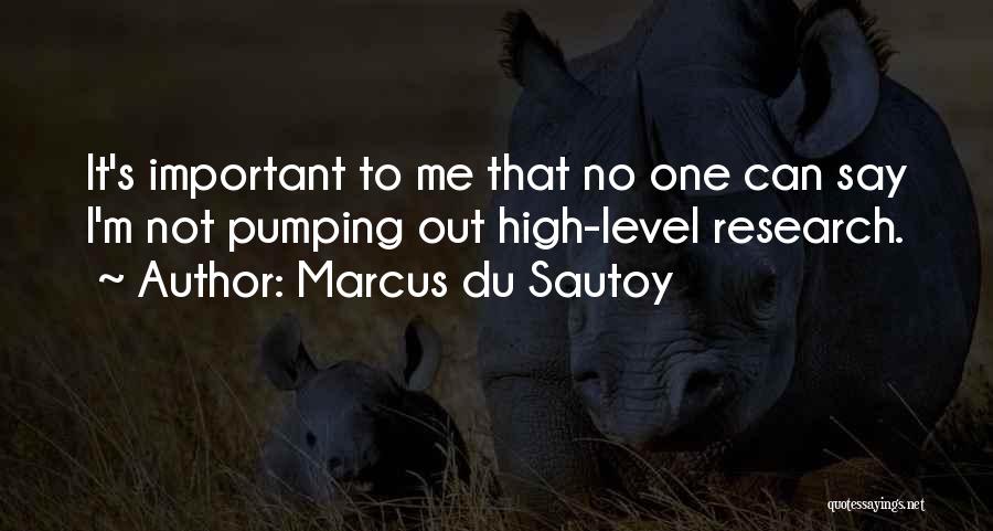 It's Not Important Quotes By Marcus Du Sautoy