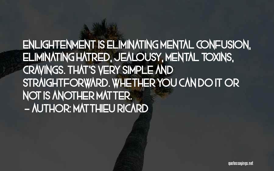 It's Not Jealousy Quotes By Matthieu Ricard