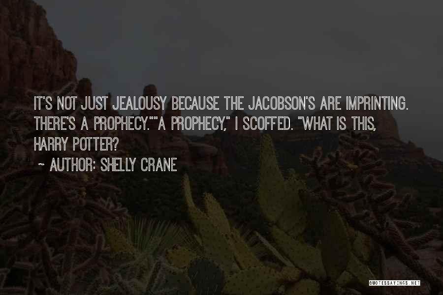 It's Not Jealousy Quotes By Shelly Crane