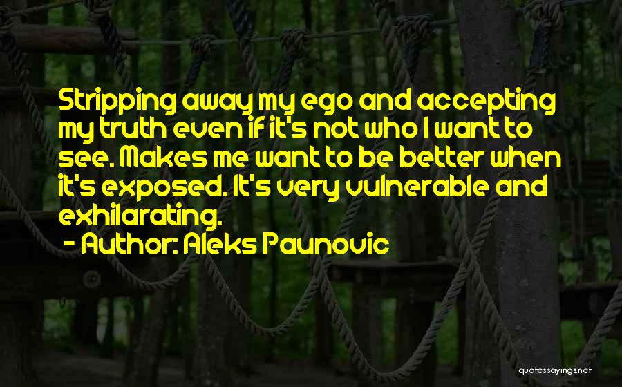 It's Not My Ego Quotes By Aleks Paunovic