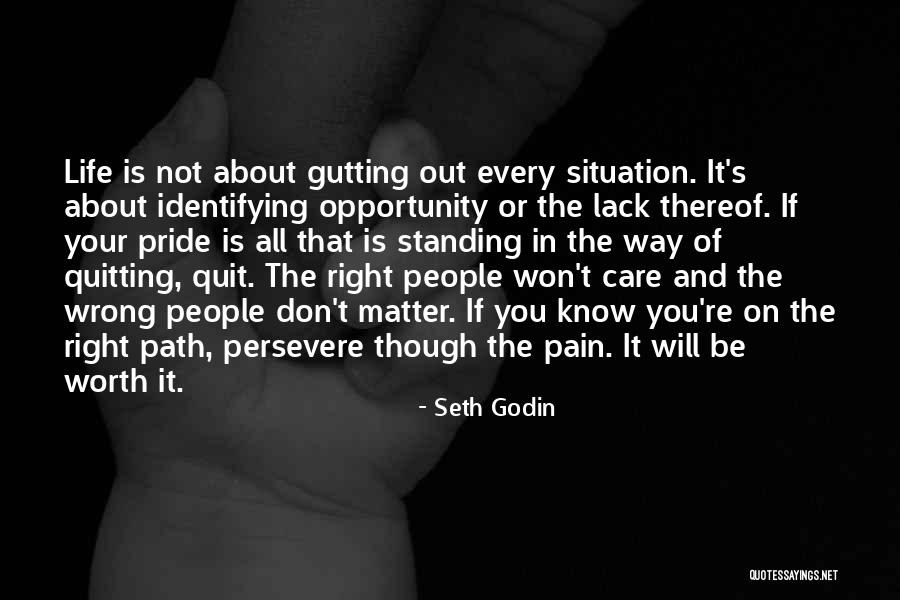 It's Not Quitting Quotes By Seth Godin