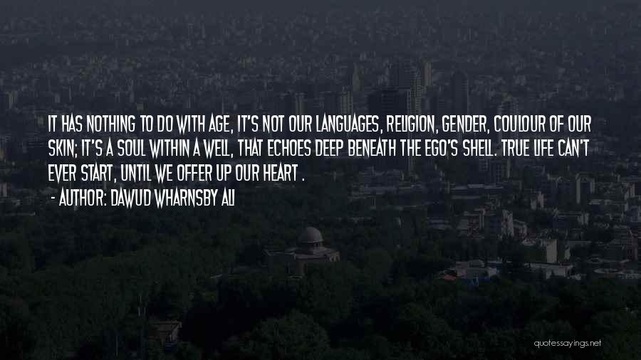 It's Not That Deep Quotes By Dawud Wharnsby Ali