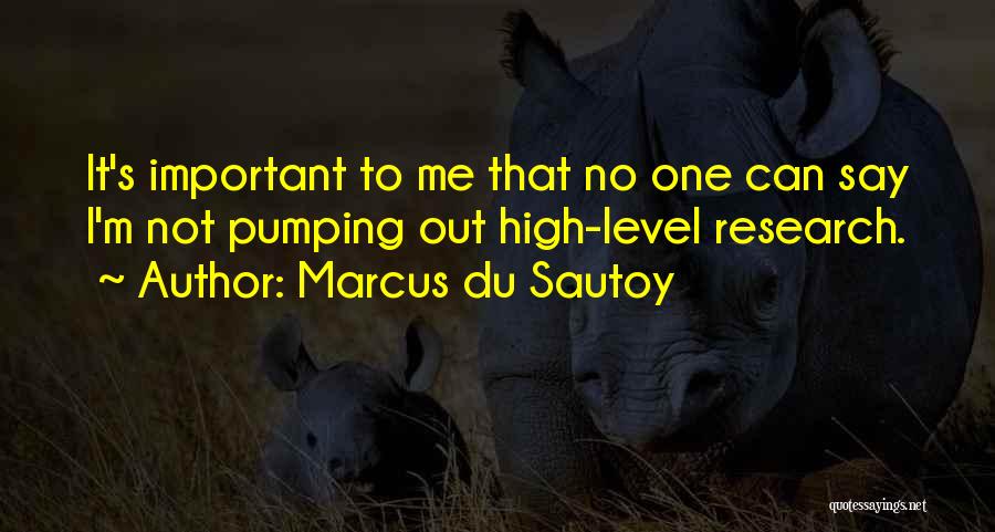 It's Not That Important Quotes By Marcus Du Sautoy