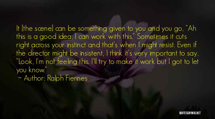 It's Not That Important Quotes By Ralph Fiennes