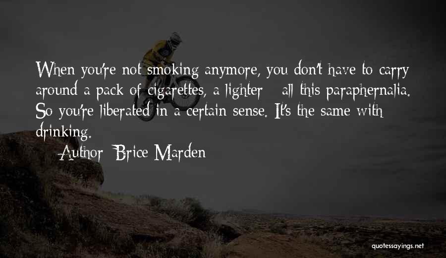 It's Not The Same Anymore Quotes By Brice Marden