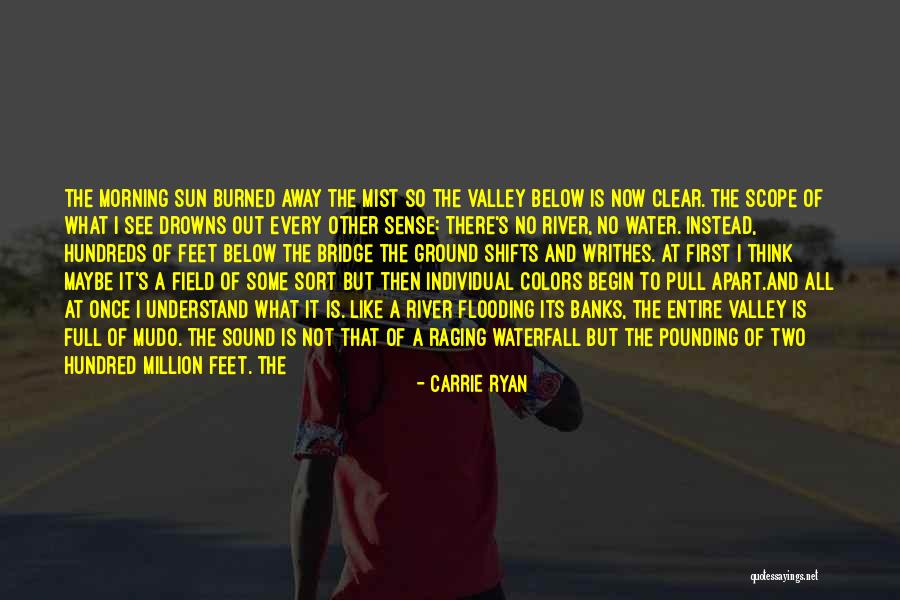 Its Not What Other Think Quotes By Carrie Ryan Its Not What Other Think Quotes By Carrie Ryan